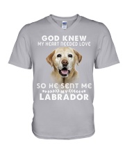 Labrador-DS202 V-Neck T-Shirt tile