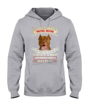 American Pit Bull Terrier-Step Out Hooded Sweatshirt tile