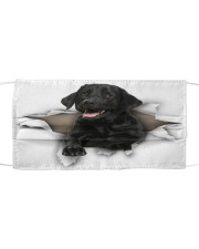 Labrador-03-Face Mask-Torn02 Cloth face mask front
