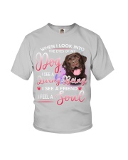 Labrador-Chocolate-DS962 Youth T-Shirt tile