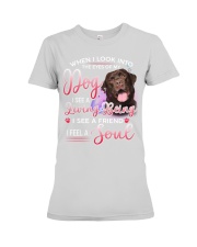 Labrador-Chocolate-DS962 Premium Fit Ladies Tee tile