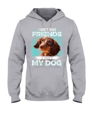 Dachshund-DS205 Hooded Sweatshirt tile