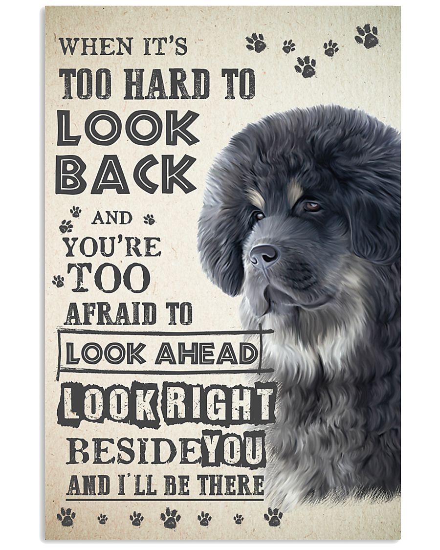 Tibetan Mastiff - Look Back 24x36 Poster