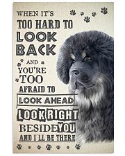 Tibetan Mastiff - Look Back 24x36 Poster front