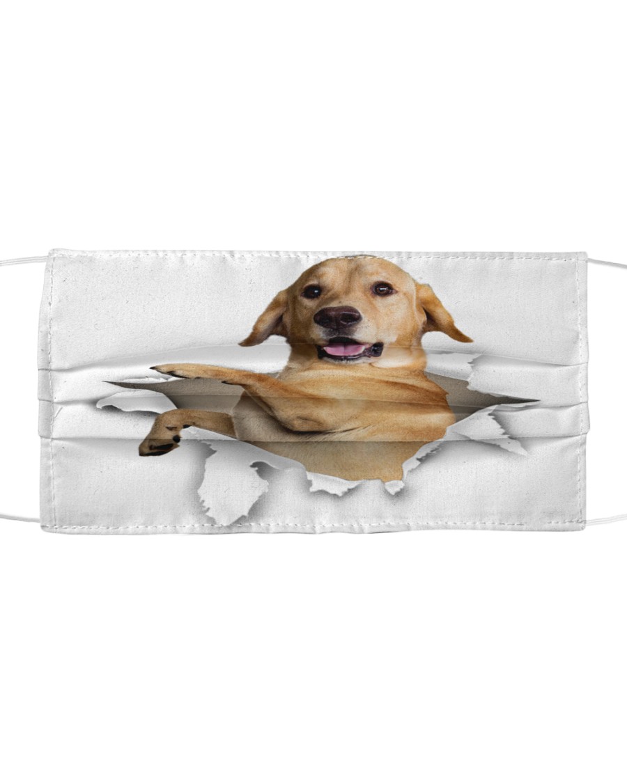 Labrador-Face Mask-Torn02 Cloth face mask