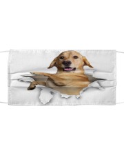 Labrador-Face Mask-Torn02 Cloth face mask front