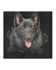 Schipperke-Hole Crack Cloth face mask aos-face-mask-coverlet-lifestyle-front-02