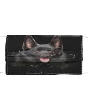 Schipperke-Hole Crack Cloth face mask front