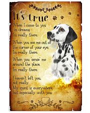 Dalmatian - True 24x36 Poster front