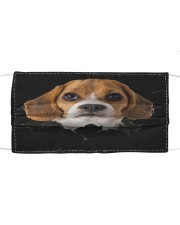 Beagle-Hole Crack Cloth face mask front