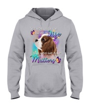 Cavalier King Charles Spaniel-02-That Matters Hooded Sweatshirt tile