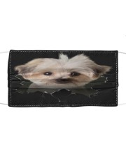 Morkie-Hole Crack Cloth face mask front