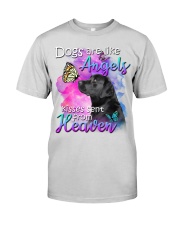 Labrador-From Heaven Premium Fit Mens Tee tile