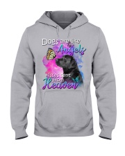 Labrador-From Heaven Hooded Sweatshirt tile