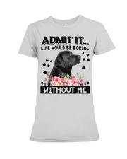 Labrador-DS57 Premium Fit Ladies Tee tile