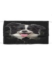 Border Collie-Hole Crack Cloth face mask front
