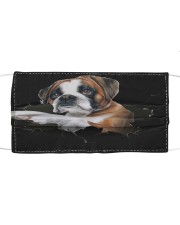 Boxer-02-Hole Crack Cloth face mask front