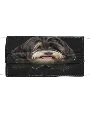 Tibetan Terrier-Hole Crack Cloth face mask front
