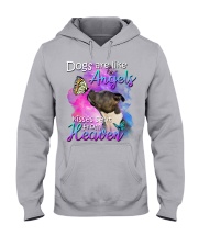 American Pit Bull Terrier-From Heaven Hooded Sweatshirt tile