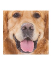 Golden Retriever-Face Mask Cloth face mask aos-face-mask-coverlet-lifestyle-front-02