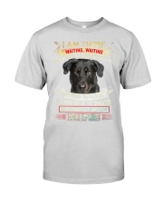 Beauceron-Step Out Premium Fit Mens Tee tile