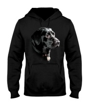 Labrador-Black - Only Face Hooded Sweatshirt thumbnail