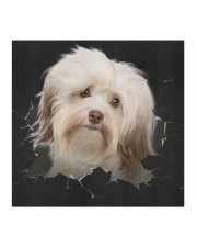 Havanese-02-Hole Crack Cloth face mask aos-face-mask-coverlet-lifestyle-front-02