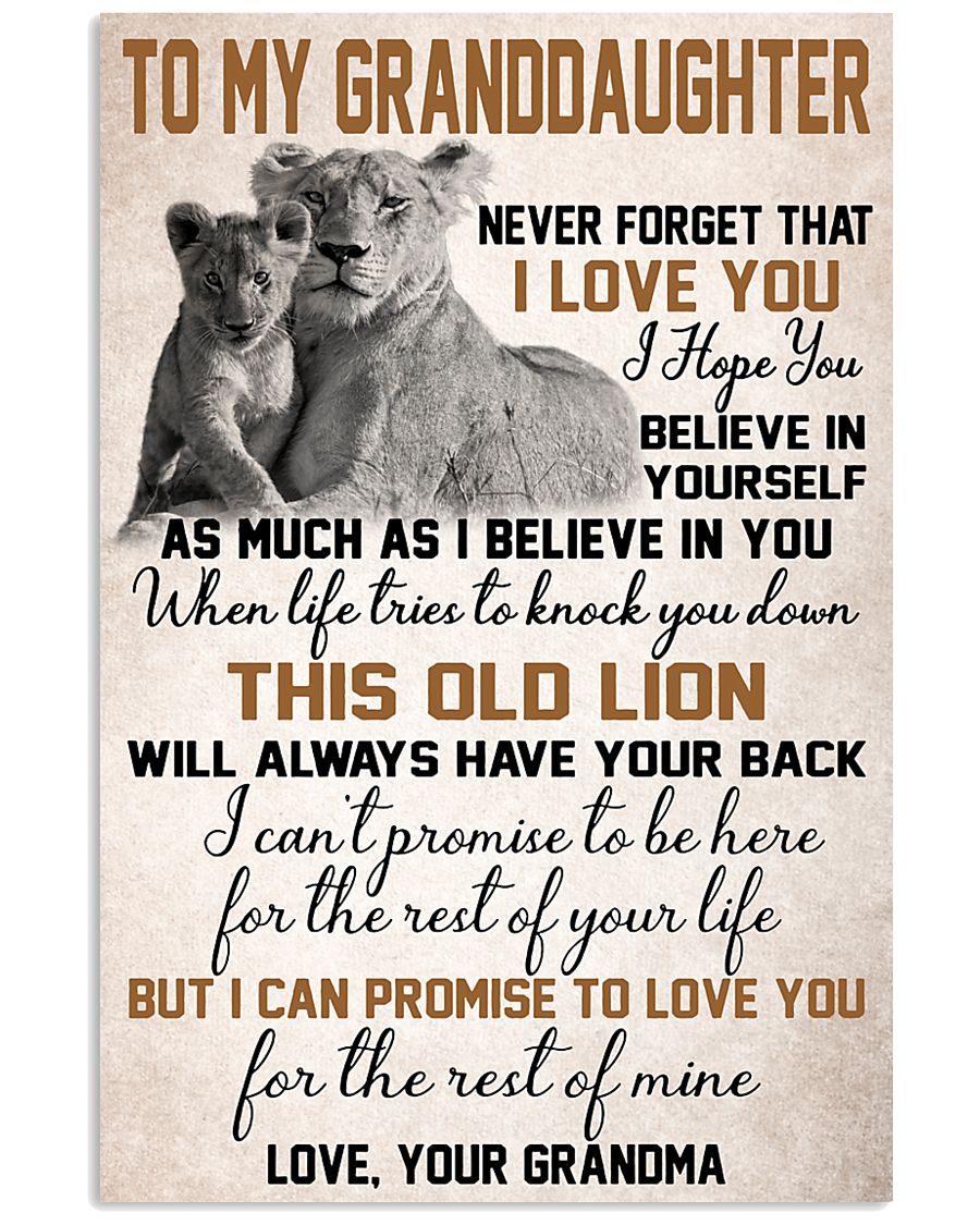 To My Granddaughter 11x17 Poster