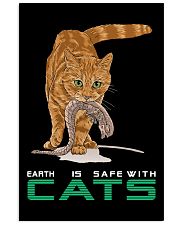 CAT 11x17 Poster thumbnail