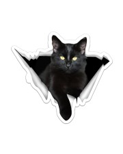 Black cat Crack Sticker - Single (Vertical) front
