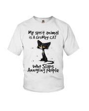 My spirit animal is a grumpy cat Youth T-Shirt tile