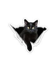 Black cat Crack Sticker - Single (Horizontal) front