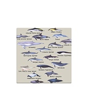 HD Defend Dolphin Full Square Magnet thumbnail
