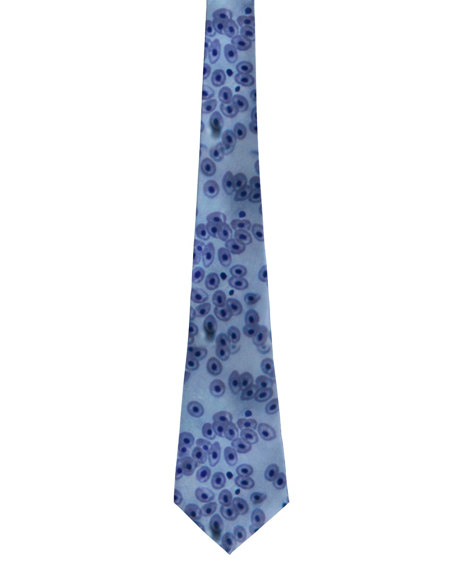 XP biology Tie 2 Tie