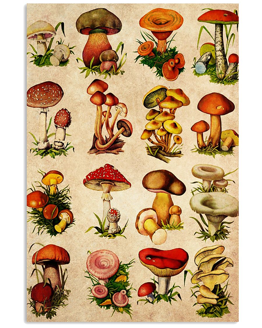 HD Type Of Mushroom 4 11x17 Poster