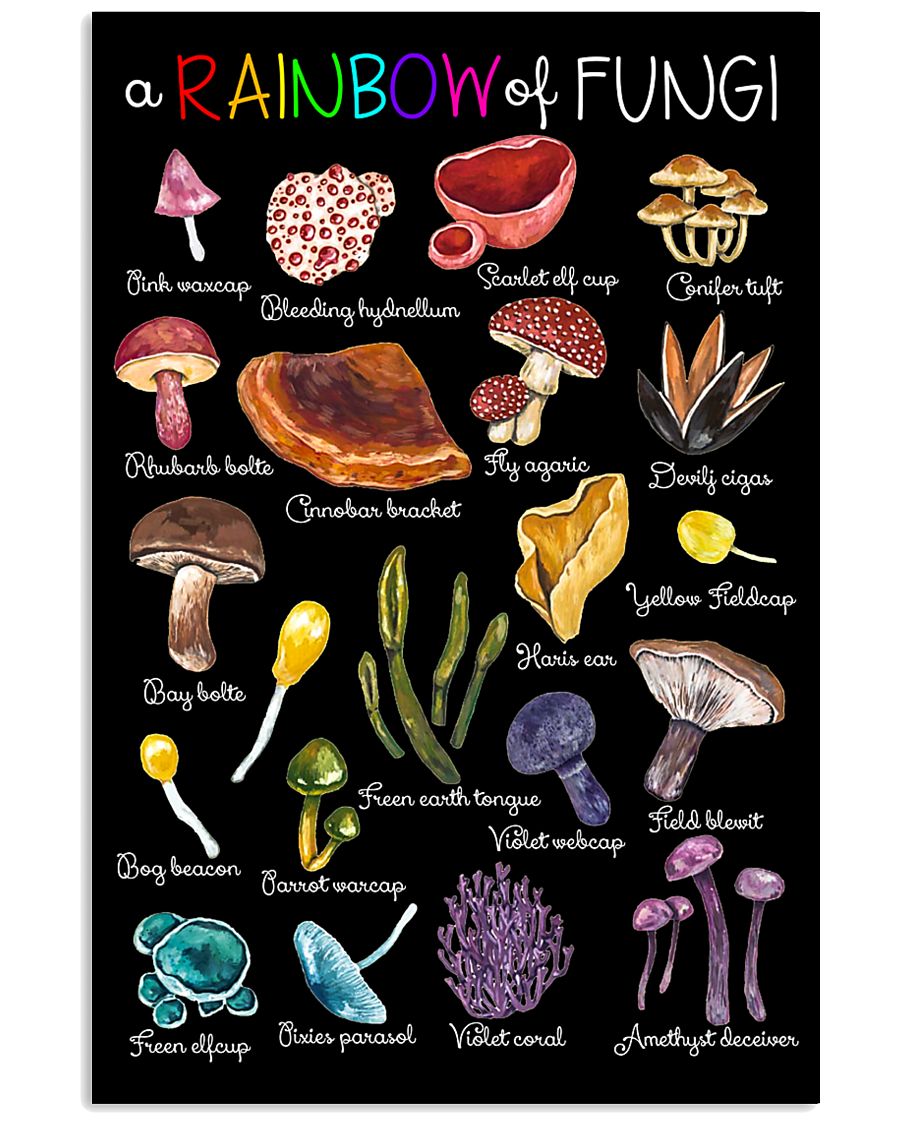 HD Fungi Rainbow Poster 11x17 Poster