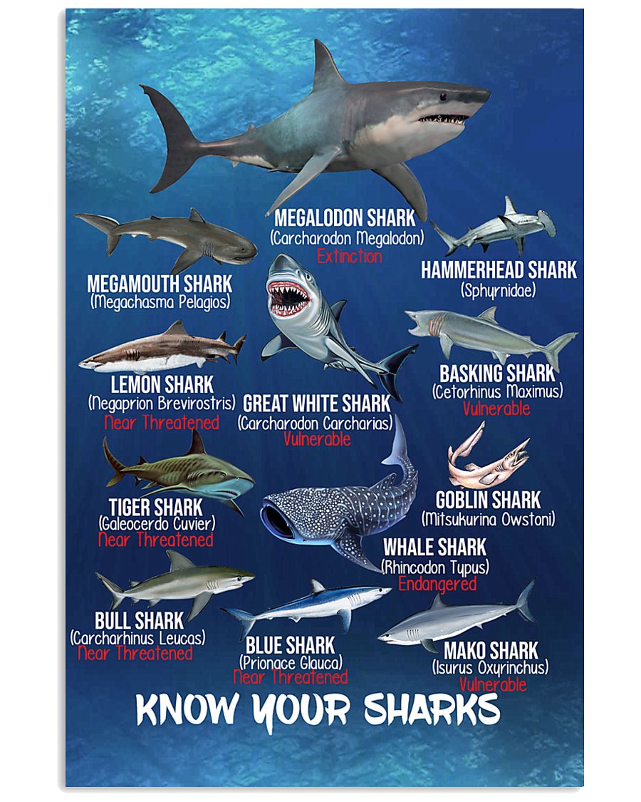 HD Know Your Sharks Poster 11x17 Poster