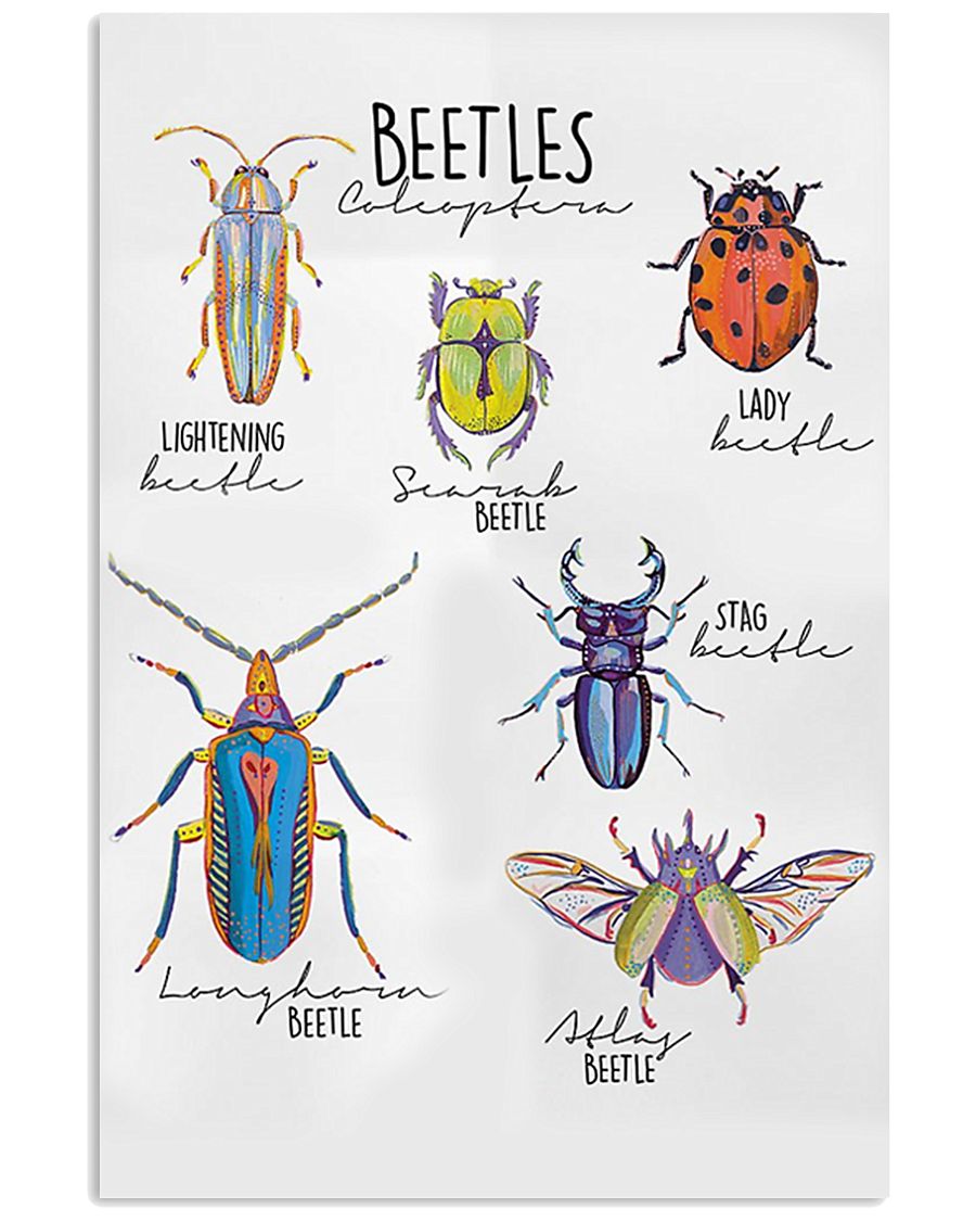 HD Beetles Poster 11x17 Poster