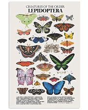 HD Lepidoptera Poster 11x17 Poster front