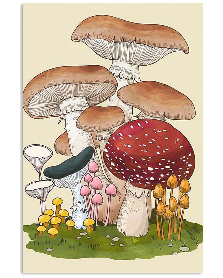 HD Group Of Mushroom 11x17 Poster