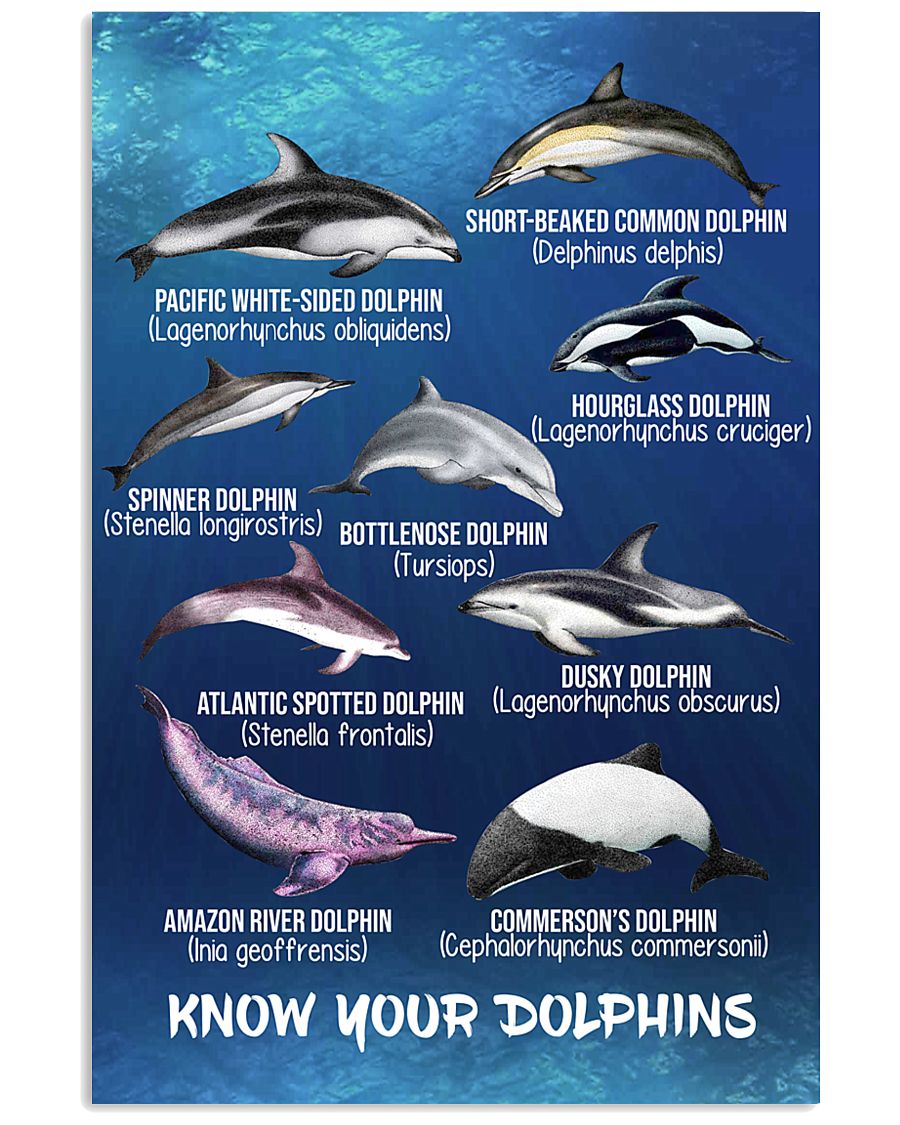 HD Know Your Dolphins Poster 11x17 Poster