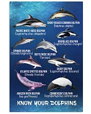HD Know Your Dolphins Poster 11x17 Poster front