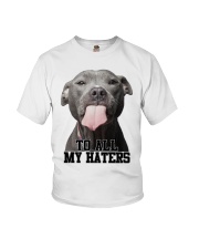 Gift For Dog Lover American Pitbull To All My Haters Youth T-Shirt tile