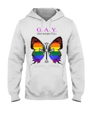 LGBT Pride Gift Butterfly Gay God Accepts You Hooded Sweatshirt tile
