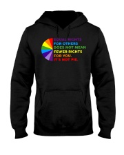 LGBT Pride Gift Equal Right For Others Hooded Sweatshirt tile