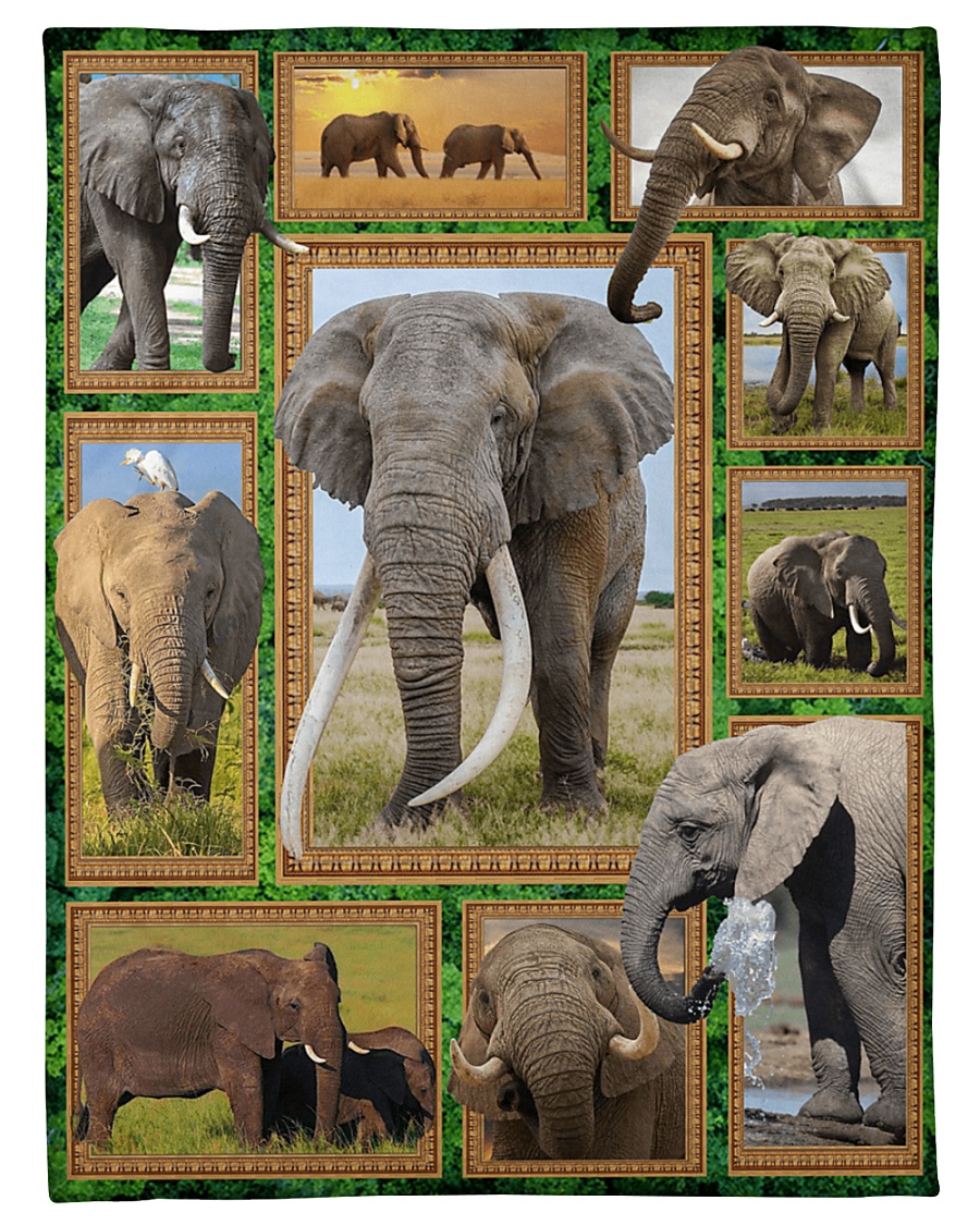 Elephant M09T9 Small Fleece Blanket - 30" x 40"