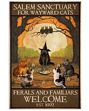 SALEM SANCTUARY FOR WAYWARD CATS 11x17 Poster front