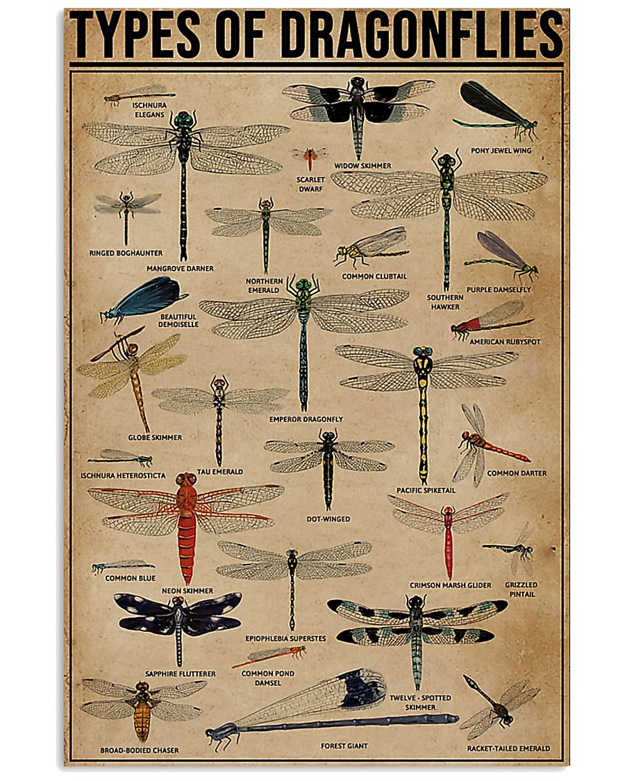 Types Of Dragonflies Vertical 11x17 Poster