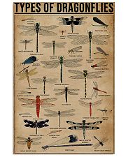 Types Of Dragonflies Vertical 11x17 Poster front