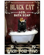 CAT POSTER 11 16x24 Poster front